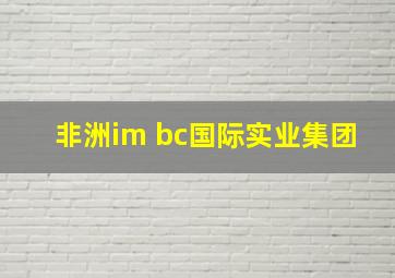 非洲im bc国际实业集团